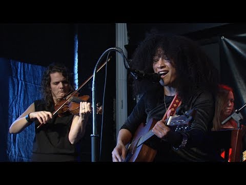 Kalamazoo Lively Arts - The Dacia Bridges Project