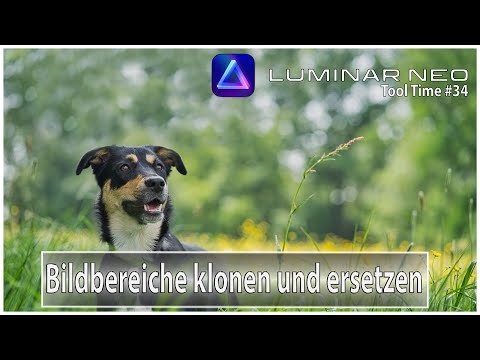 Luminar Neo - Bildbereiche klonen und ersetzen - Tool Time #34