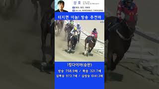 💣터지면 이놈! 방송추천마 14조에서 경마폭탄 입상 패턴 🐎킹다이아! 인기1위에 쫄지마!
