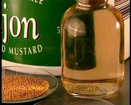 download lagu mp3 mp4 Mustard Made, download lagu Mustard Made gratis, unduh video klip Mustard Made