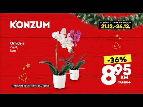 Vikend akcija u Konzumu! 21.12.-24.12.2018.