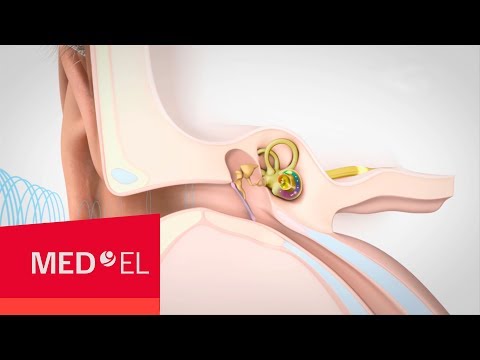 Vídeo sobre como a audição funciona