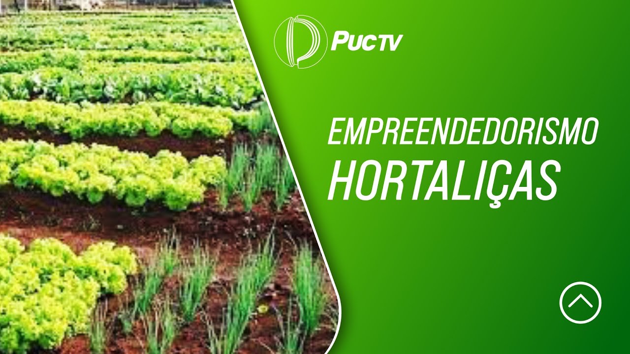 EMPREENDEDORISMO HORTALIÇAS