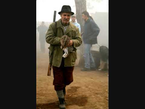 În  memoria lui Gheorghe Dinică