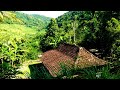 Unexpectedly As Beautiful And Cool As This Village Atmosphere In Kulon Progo Rural Atmosphere