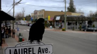 TVD 1x1 - Damon's crow following Elena | Delena Scenes HD