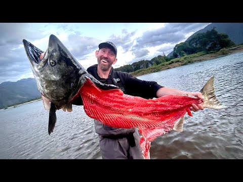 2 MONATE in kompletter WILDNIS ausgesetzt! Hier leben die letzten URGIGANTEN ihrer Art!