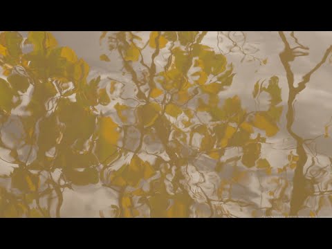 Primo Water & Wind Duet | 20201102