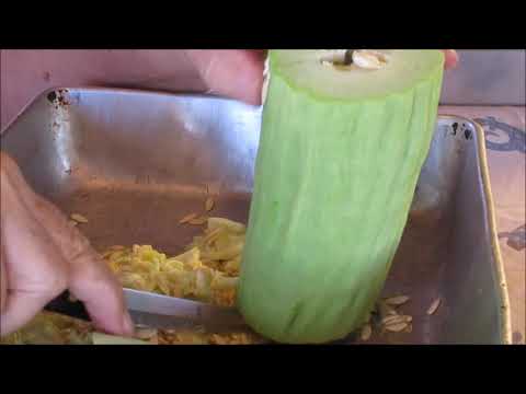 Giant cucumbers - Food for chickens, horses and donkeys