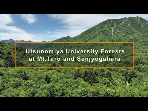 宇都宮大学農学部附属日光演習林〔ドローン空撮動画〕 Drone footage of Utsunomiya University Forests in Nikko