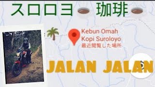 【KOPI SUROLOYO】Kulon Progo Yogyakartaスロロヨ珈琲インドネシア　ジョクジャカルタ