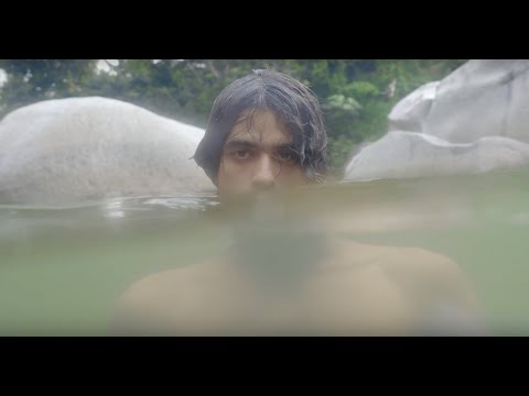 Ani Cordero: Taza de Café