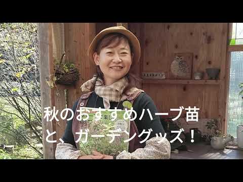 秋に育てたい芳香のあるハーブ：コンテナや地植えに適した植物トップ 5  庭園