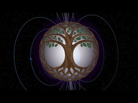 005 ♥ The Vortex, The Torus & The Geometry of Life