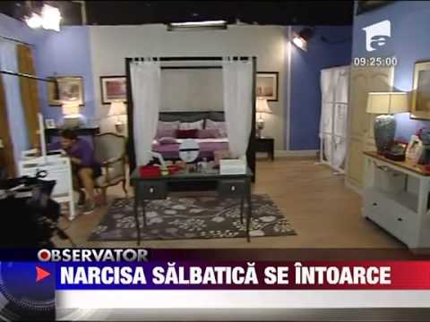 Narcisa Salbatica revine pe ecran 27 IULIE 2011
