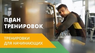 План тренировок в тренажерном зале для начинающих. Energy Life NL