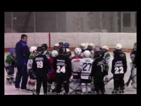 Veszprémi Jéglovagok