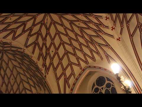 14 R Dubra  Alleluia