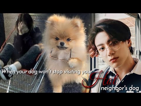 (Jungkook FF) When your dog won't stop visiting your HOT neighbour's dog [Oneshot 1/2]