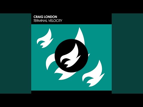 Terminal Velocity (Original Mix)