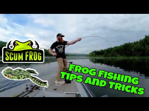 Frog TIPS and TRICKS | Trophy Series SCUM FROG