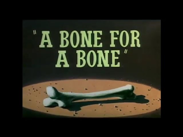 Looney Tunes "A Bone for a Bone" Opening and Closing