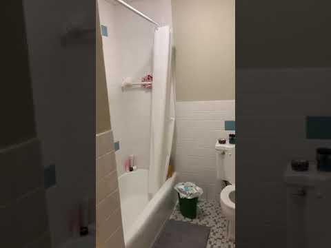 Harvard St. & Trowbridge St. #15A - Video 1 of 1