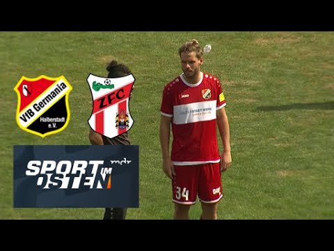 ZFC Meuselwitz feiert ersten Saisonsieg gegen Halberstadt | Sport im Osten | MDR