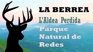 preview picture of video 'La Berrea en Asturias, Parque Natural de Redes.'