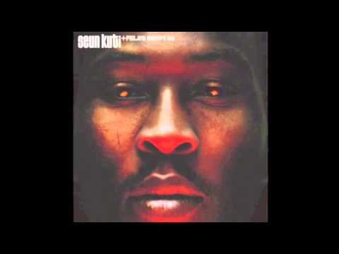 Mosquito Song - Seun Kuti