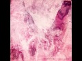 Porcelain Raft - Picture 