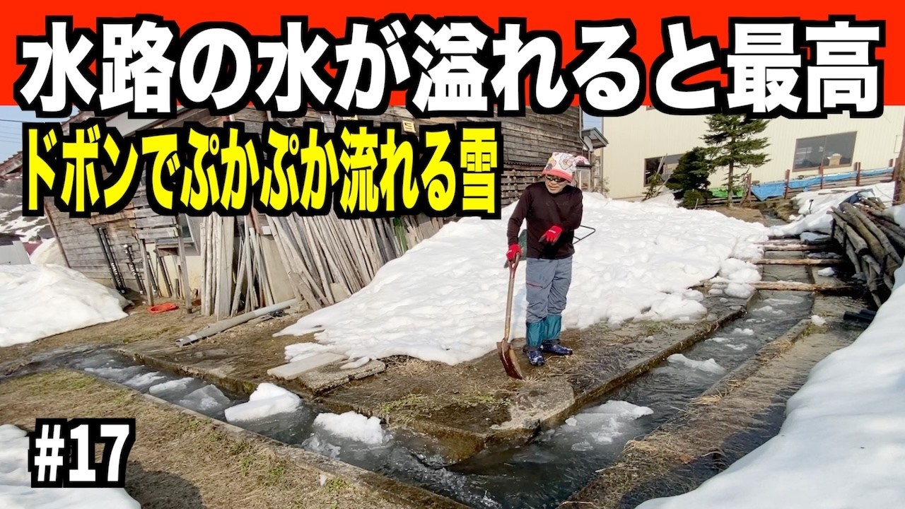 【ドボンその17】気持ちよく雪が水路を流れていく！2026-03-28（土）武七の除雪・雪かき日記　dobon snowremoval snowplow ASMR