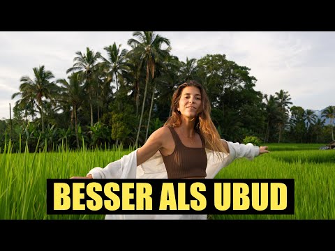 Hätten wir das früher gewusst! - Bali Reisfelder ohne viele Toursiten l Jatiluwih