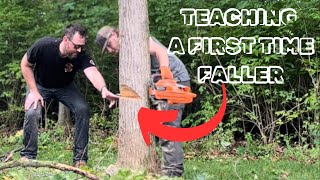 Chainsaw Basics: Teaching Tree Felling & Cutting Firewood