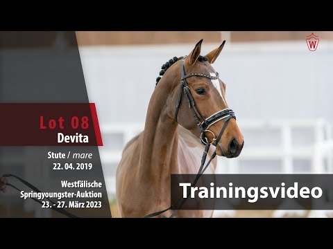 Springyoungster Auktion Training Lot 08 Devita Stute v.  Dembelé L - Potsdam