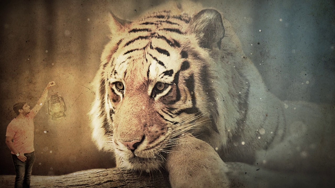 Smile 2 Shine Photography Intro