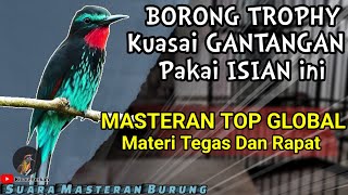 Download lagu MASTERAN TOP GLOBAL!! MASTERAN Kasar Untuk Burung LOMBA ~ Burung Dengan MATERI TEGAS DAN RAPAT mp3 Download lagu MASTERAN TOP GLOBAL!! MASTERAN Kasar Untuk Burung LOMBA ~ Burung Dengan MATERI TEGAS DAN RAPAT mp3