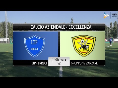 Sintesi Ltp-Erreci - Gruppo 17 Zanzare