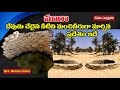 బైబిల్ లోని మరా ప్రదేశం Marah Marah In Telugu Marah In The B