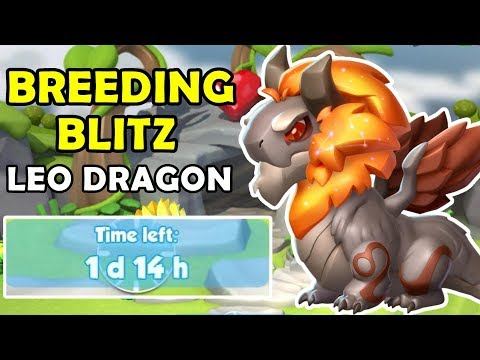 Breeding the LEO DRAGON!? BREEDING BLITZ Guide + Tips! - DML #1245
