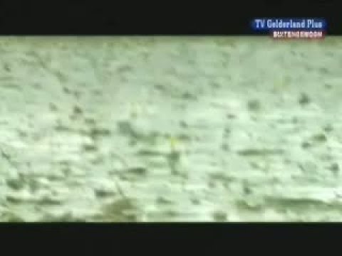 BuitenGewoon 14 juni 2007