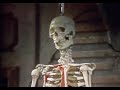 Sesame Street Bones Inside Of You