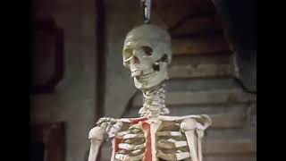 Sesame Street- Bones Inside of You