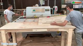 Máy rong cạnh 1 lưỡi Woodmaster | Ripsaw lưỡi dưới điều chỉnh chiều dày làm việc bằng điện WM-14F