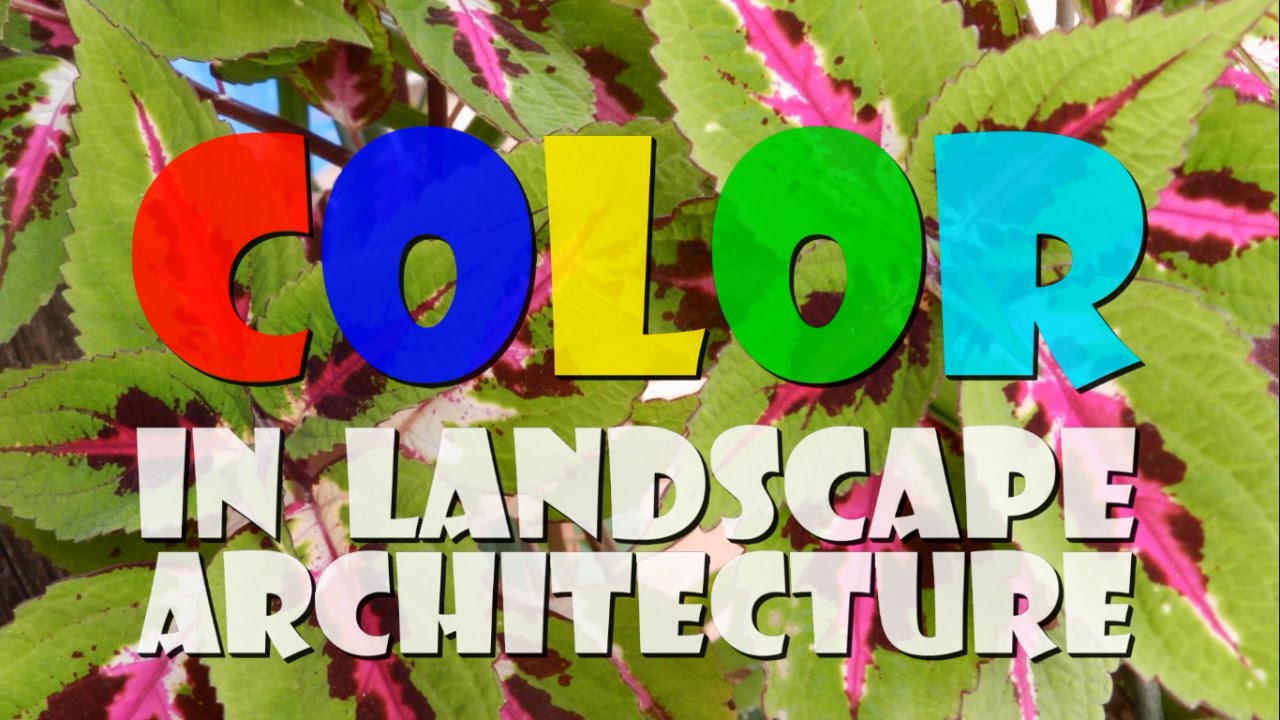 BASIC PRINCIPLES OF LANDSCAPE DESIGN - COLOR