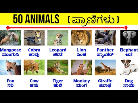 Animals | ಪ್ರಾಣಿಗಳು | Vocabulary | spoken English kannada |