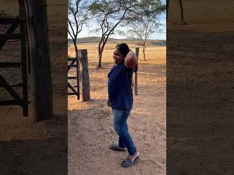 Does a horse bite? The man thought it wouldn't but he was surprised 🥲#horse #animal #cavalo #pet ...