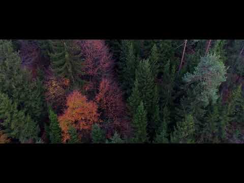 Autumn colors of Slovenia