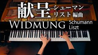 Download lagu 【登録者180万人記念🎹】シューマン＝リスト《献呈（Widmung）》｜Schumann–Liszt｜クラシックピアノ Classical Piano｜CANACANA mp3