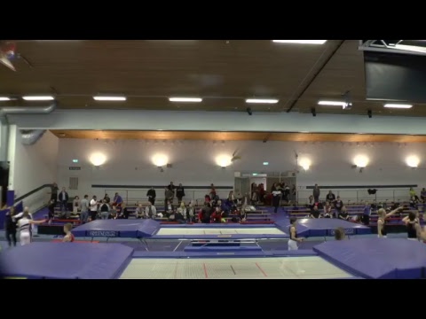 JSM/USM Trampolin - Synkron - DMT